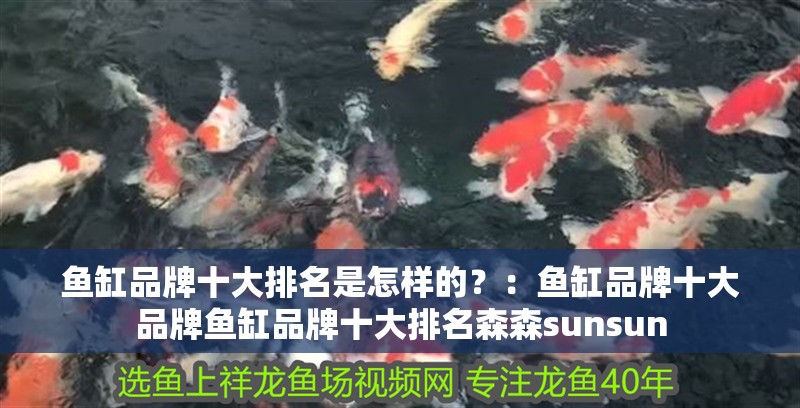 魚缸品牌十大排名是怎樣的？：魚缸品牌十大品牌魚缸品牌十大排名森森sunsun