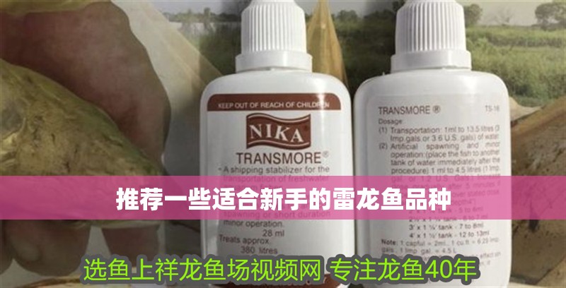 魚缸用增氧泵價格是多少:魚缸增氧機(jī)-xtrac增氧機(jī)-xtrac增氧機(jī) 推薦一些適合新手的雷龍魚品種 龍魚論壇 推薦一些適合新手的雷龍魚品種 推薦一些適合新手的雷龍魚品種 龍魚論壇