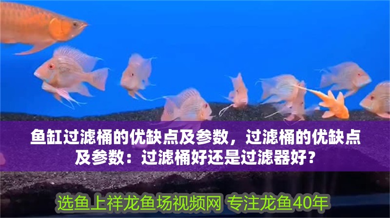 魚缸過濾桶的優缺點及參數，過濾桶的優缺點及參數：過濾桶好還是過濾器好？