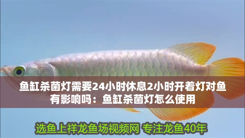 魚缸殺菌燈需要24小時休息2小時開著燈對魚有影響嗎：魚缸殺菌燈怎么使用