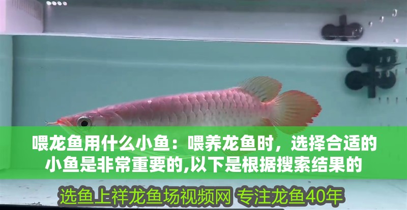 喂龍魚用什么小魚：喂養(yǎng)龍魚時，選擇合適的小魚是非常重要的,以下是根據(jù)搜索結(jié)果的