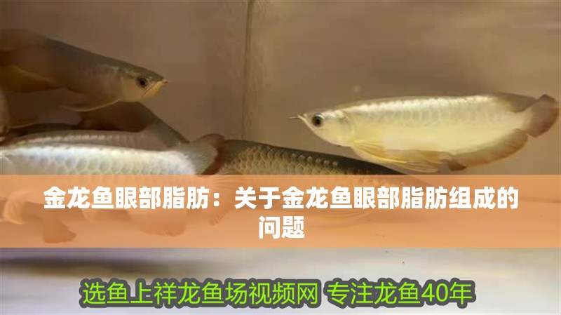 金龍魚眼部脂肪：關于金龍魚眼部脂肪組成的問題
