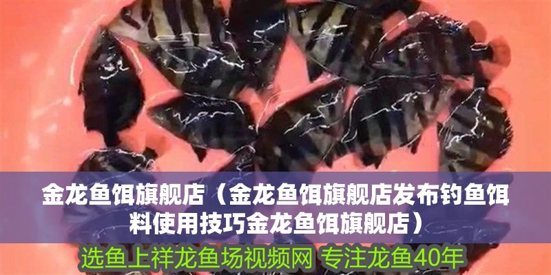 金龍魚餌旗艦店（金龍魚餌旗艦店發布釣魚餌料使用技巧金龍魚餌旗艦店）