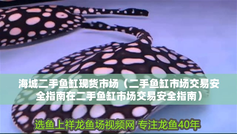 海城二手魚缸現貨市場（二手魚缸市場交易安全指南在二手魚缸市場交易安全指南）