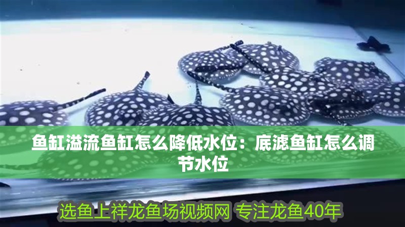 魚缸溢流魚缸怎么降低水位：底濾魚缸怎么調節水位