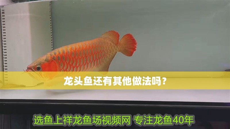 龍頭魚還有其他做法嗎？