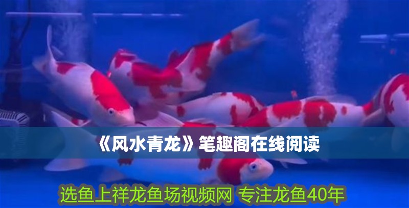 《風水青龍》筆趣閣在線閱讀