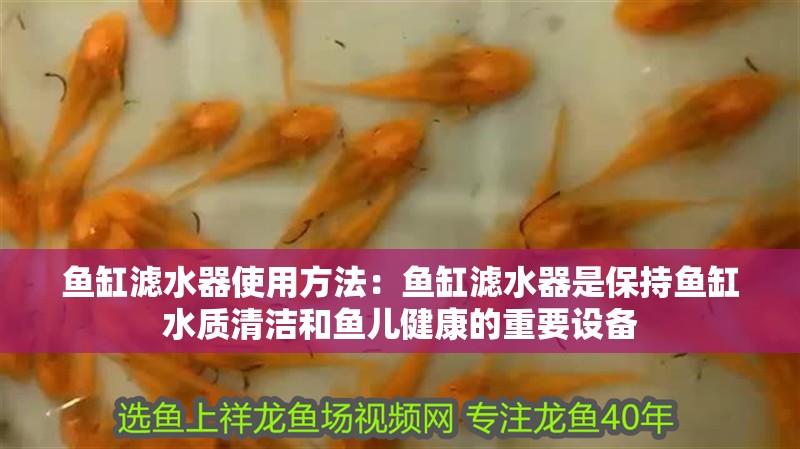 魚缸濾水器使用方法：魚缸濾水器是保持魚缸水質清潔和魚兒健康的重要設備