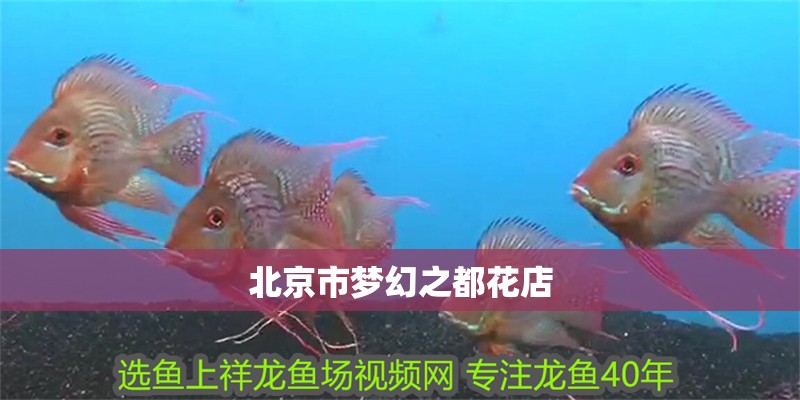 北京市夢幻之都花店