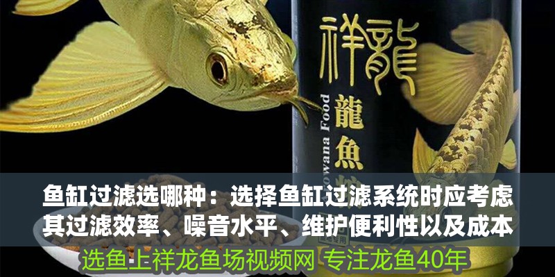 魚缸過濾選哪種：選擇魚缸過濾系統時應考慮其過濾效率、噪音水平、維護便利性以及成本等因素