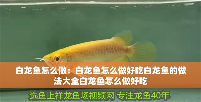 白龍魚(yú)怎么做：白龍魚(yú)怎么做好吃白龍魚(yú)的做法大全白龍魚(yú)怎么做好吃 白龍魚(yú)怎么做：白龍魚(yú)怎么做好吃白龍魚(yú)的做法大全白龍魚(yú)怎么做好吃 龍魚(yú)百科