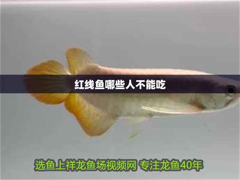 紅線魚哪些人不能吃