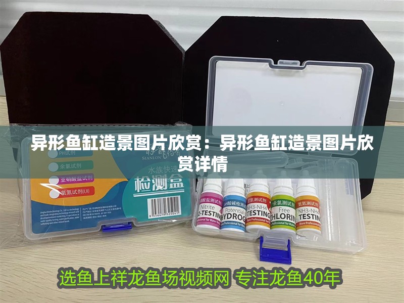 異形魚(yú)缸造景圖片欣賞:異形魚(yú)缸造景圖片欣賞詳情 魚(yú)缸百科 異形魚(yú)缸造景圖片欣賞:異形魚(yú)缸造景圖片欣賞詳情 異形魚(yú)缸造景圖片欣賞:異形魚(yú)缸造景圖片欣賞詳情 魚(yú)缸百科
