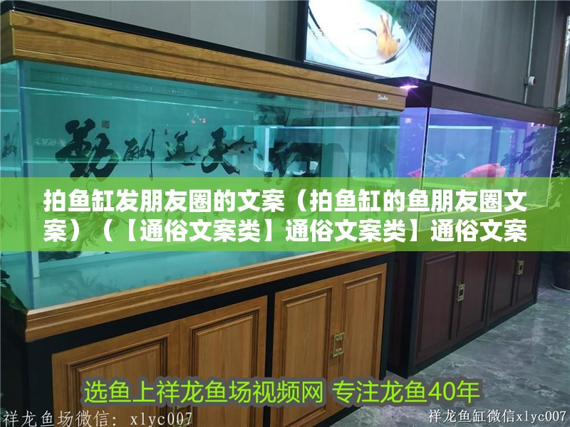 拍魚缸發朋友圈的文案（拍魚缸的魚朋友圈文案）（【通俗文案類】通俗文案類】通俗文案類】） 拍魚缸發朋友圈的文案（拍魚缸的魚朋友圈文案）（【通俗文案類】通俗文案類】通俗文案類】） 魚缸百科