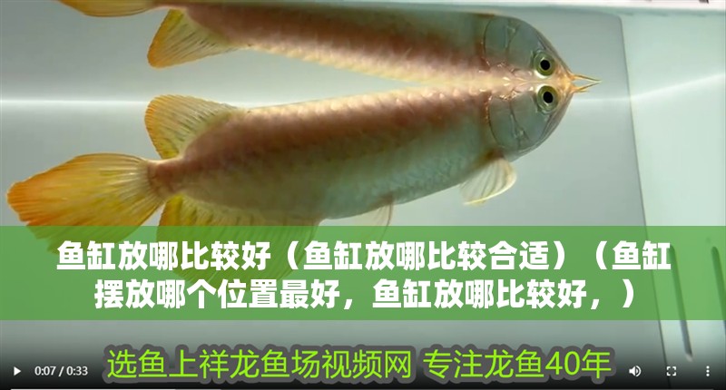 魚(yú)缸放哪比較好（魚(yú)缸放哪比較合適）（魚(yú)缸擺放哪個(gè)位置最好，魚(yú)缸放哪比較好，）