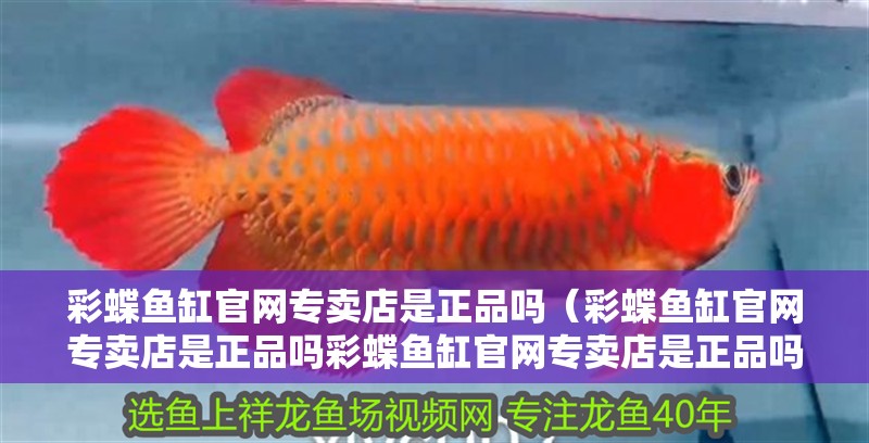 彩蝶魚(yú)缸官網(wǎng)專(zhuān)賣(mài)店是正品嗎（彩蝶魚(yú)缸官網(wǎng)專(zhuān)賣(mài)店是正品嗎彩蝶魚(yú)缸官網(wǎng)專(zhuān)賣(mài)店是正品嗎）