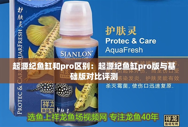 起源紀魚缸和pro區別：起源紀魚缸pro版與基礎版對比評測