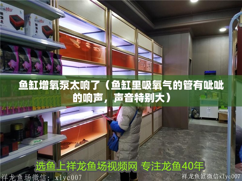 魚(yú)缸增氧泵太響了（魚(yú)缸里吸氧氣的管有呲呲的響聲，聲音特別大） 魚(yú)缸增氧泵太響了（魚(yú)缸里吸氧氣的管有呲呲的響聲，聲音特別大） 全國(guó)水族館企業(yè)名錄