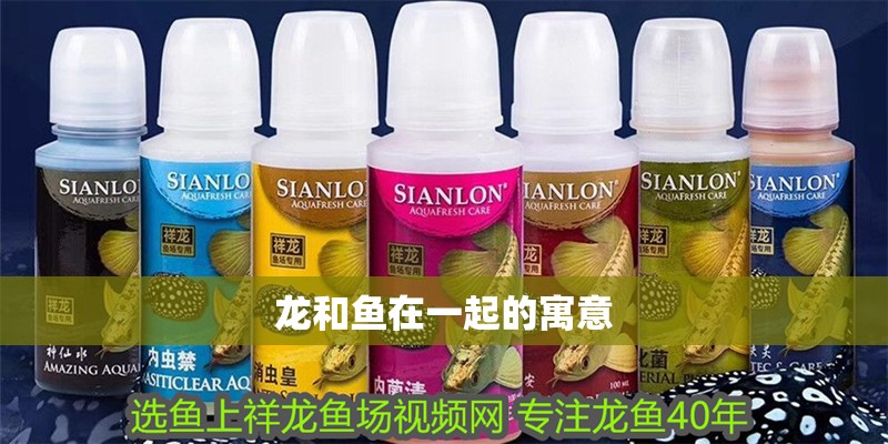 龍和魚在一起的寓意