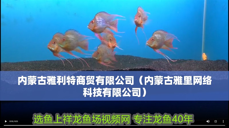 內蒙古雅利特商貿有限公司（內蒙古雅里網絡科技有限公司）