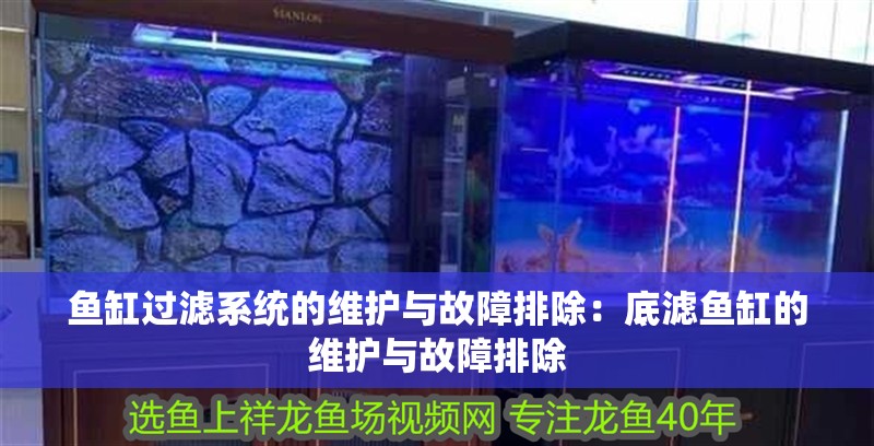 魚缸過濾系統的維護與故障排除：底濾魚缸的維護與故障排除