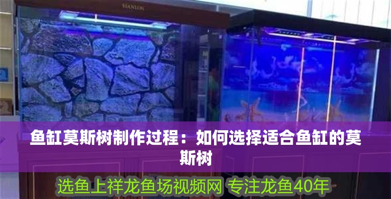 魚缸莫斯樹制作過程：如何選擇適合魚缸的莫斯樹