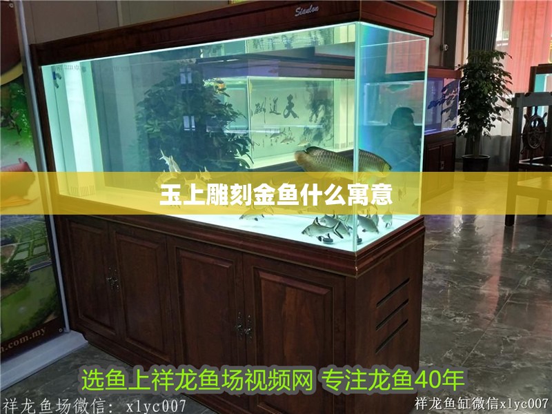 玉上雕刻金魚什么寓意