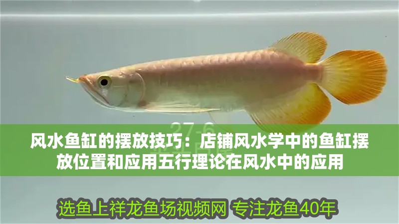 魚缸用增氧泵價格是多少:魚缸增氧機-xtrac增氧機-xtrac增氧機 風水魚缸的擺放技巧:店鋪風水學中的魚缸擺放位置和應用五行理論在風水中的應用 魚缸百科 風水魚缸的擺放技巧:店鋪風水學中的魚缸擺放位置和應用五行理論在風水中的應用 風水魚缸的擺放技巧:店鋪風水學中的魚缸擺放位置和應用五行理論在風水中的應用 魚缸百科