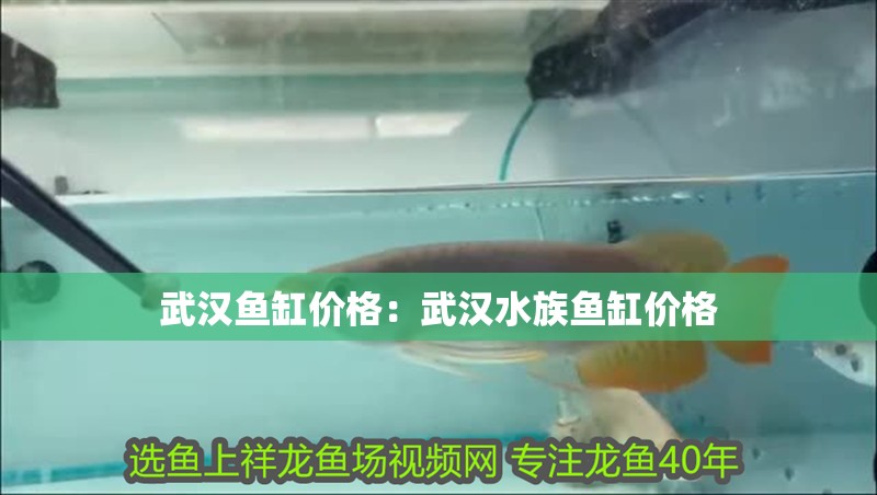 武漢魚缸價格：武漢水族魚缸價格 武漢魚缸價格：武漢水族魚缸價格 魚缸百科