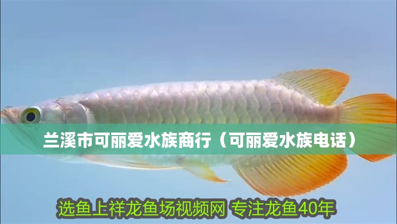 蘭溪市可麗愛水族商行（可麗愛水族電話）