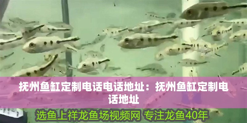 撫州魚缸定制電話電話地址：撫州魚缸定制電話地址