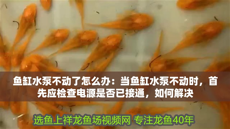 魚缸水泵不動了怎么辦：當魚缸水泵不動時，首先應檢查電源是否已接通，如何解決