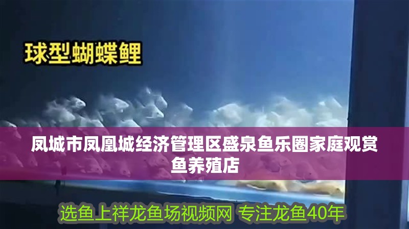 鳳城市鳳凰城經濟管理區盛泉魚樂圈家庭觀賞魚養殖店