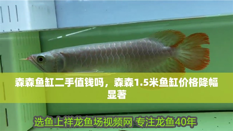 森森魚缸二手值錢嗎，森森1.5米魚缸價格降幅顯著