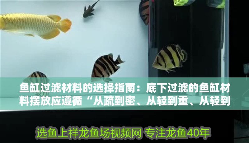 魚缸過濾材料的選擇指南：底下過濾的魚缸材料擺放應遵循“從疏到密、從輕到重、從輕到重” 魚缸過濾材料的選擇指南：底下過濾的魚缸材料擺放應遵循“從疏到密、從輕到重、從輕到重” 魚缸百科