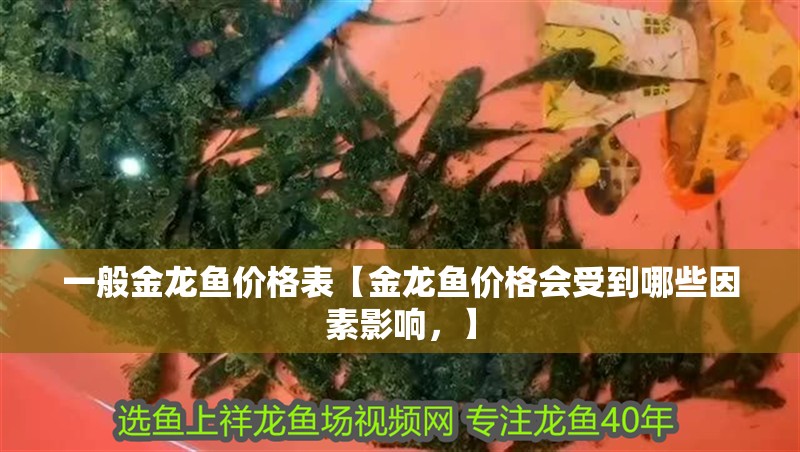 一般金龍魚價格表【金龍魚價格會受到哪些因素影響，】
