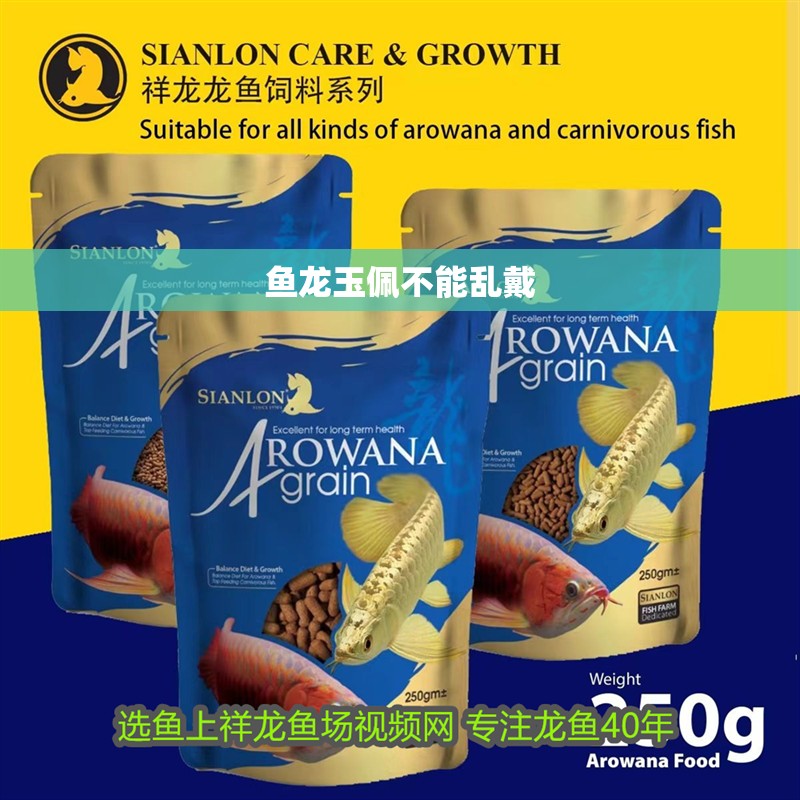 魚龍玉佩不能亂戴