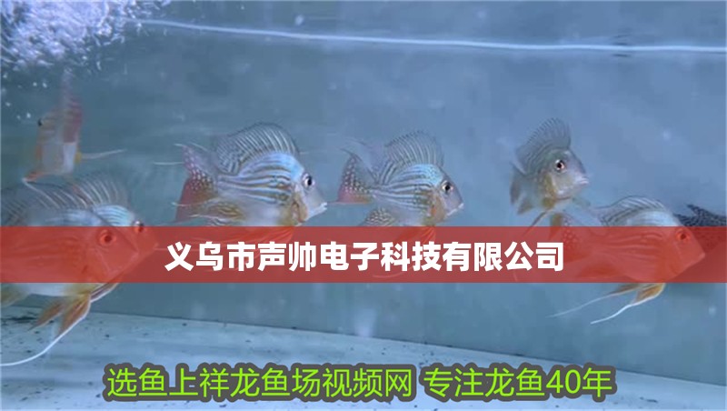 義烏市聲帥電子科技有限公司