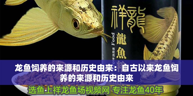 龍魚飼養的來源和歷史由來：自古以來龍魚飼養的來源和歷史由來 龍魚飼養的來源和歷史由來：自古以來龍魚飼養的來源和歷史由來 龍魚百科