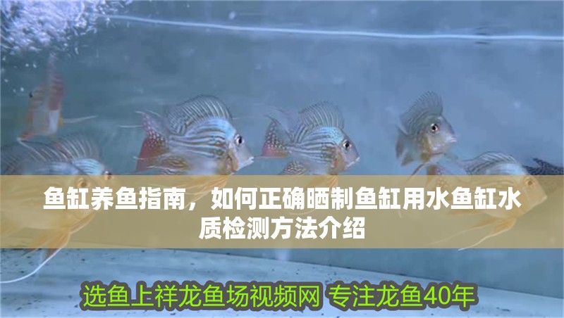 魚缸養魚指南，如何正確曬制魚缸用水魚缸水質檢測方法介紹