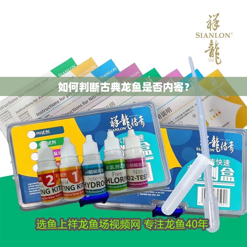如何判斷古典龍魚是否內寄？