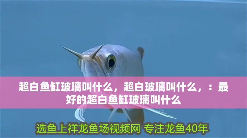 超白魚缸玻璃叫什么，超白玻璃叫什么，：最好的超白魚缸玻璃叫什么