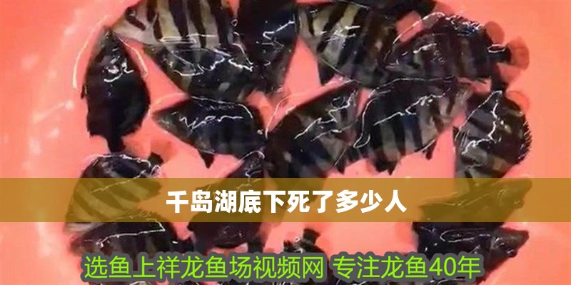 千島湖底下死了多少人