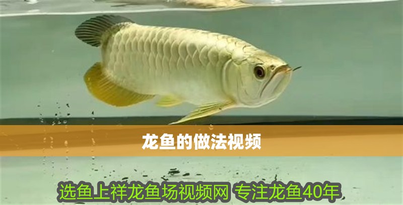 龍魚(yú)的做法視頻