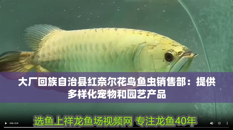 大廠回族自治縣紅奈爾花鳥魚蟲銷售部：提供多樣化寵物和園藝產品