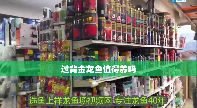 龍魚干蝦有營養(yǎng)嗎 過背金龍魚值得養(yǎng)嗎 龍魚論壇 過背金龍魚值得養(yǎng)嗎 過背金龍魚值得養(yǎng)嗎 龍魚論壇