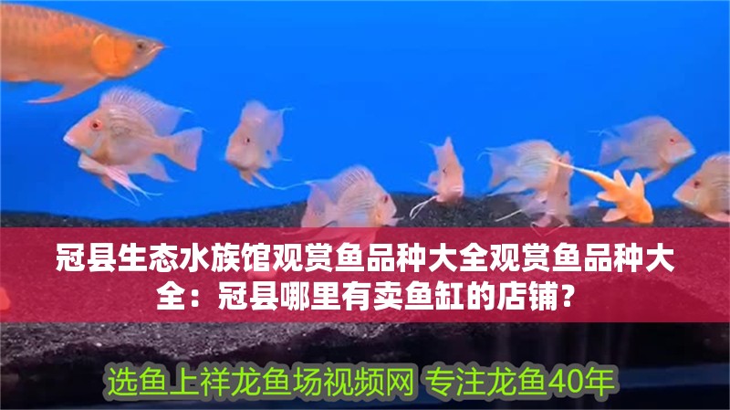 冠縣生態(tài)水族館觀賞魚(yú)品種大全觀賞魚(yú)品種大全：冠縣哪里有賣(mài)魚(yú)缸的店鋪？