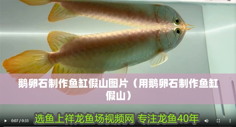 鵝卵石制作魚缸假山圖片（用鵝卵石制作魚缸假山） 鵝卵石制作魚缸假山圖片（用鵝卵石制作魚缸假山） 魚缸百科