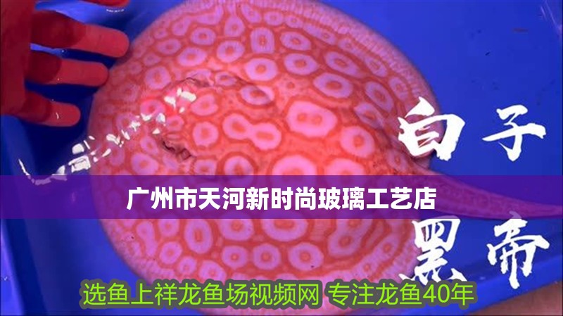 廣州市天河新時(shí)尚玻璃工藝店