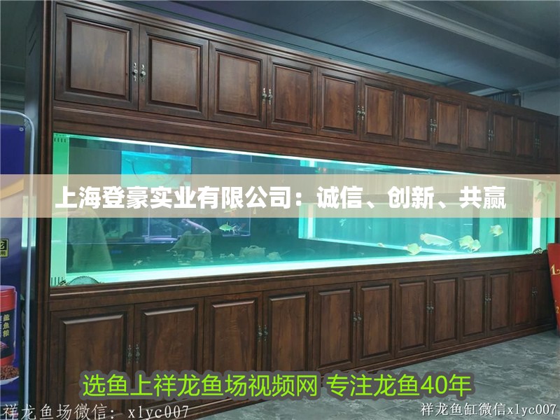 上海登豪實業有限公司：誠信、創新、共贏